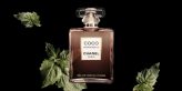 Coco Mademoiselle Intense